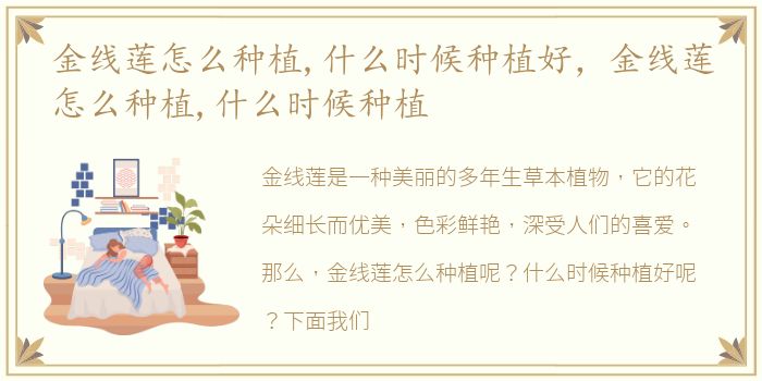 金线莲怎么种植,什么时候种植好，金线莲怎么种植,什么时候种植