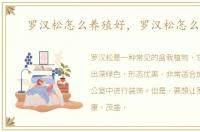 罗汉松怎么养殖好，罗汉松怎么养殖