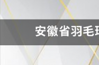 中国羽毛球队长名单？ 中国羽毛球队队员名单