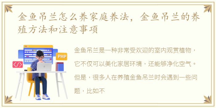 金鱼吊兰怎么养家庭养法，金鱼吊兰的养殖方法和注意事项