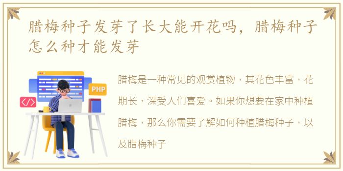 腊梅种子发芽了长大能开花吗，腊梅种子怎么种才能发芽