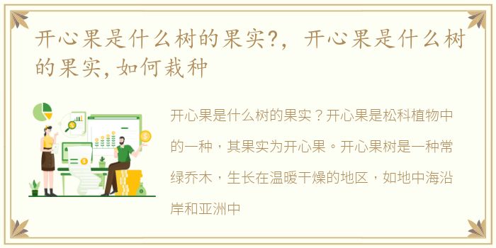 开心果是什么树的果实?，开心果是什么树的果实,如何栽种