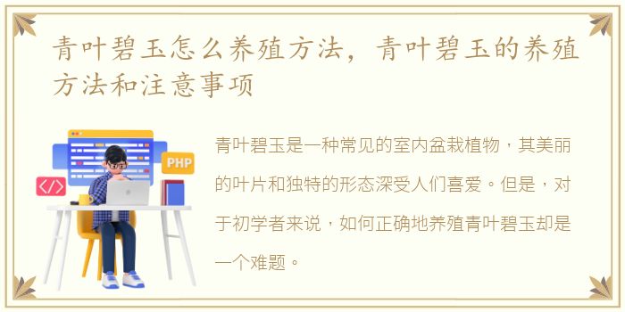 青叶碧玉怎么养殖方法，青叶碧玉的养殖方法和注意事项