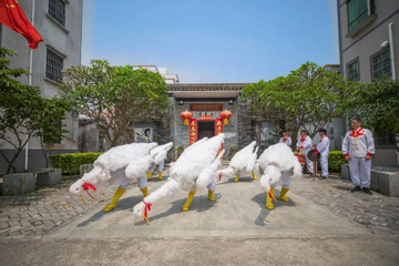 三灶鹤舞，广东省珠海市三灶镇传统舞蹈