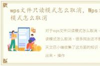 wps文件只读模式怎么取消，Wps文档只读模式怎么取消