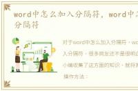 word中怎么加入分隔符，word中怎样插入分隔符