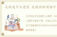 毛线是什么意思 毛线网络用语什么意思