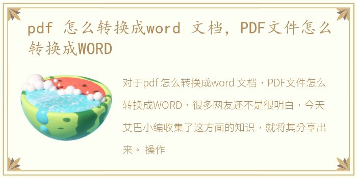 pdf 怎么转换成word 文档，PDF文件怎么转换成WORD