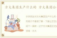 方大集团生产什么的 方大集团公司简介