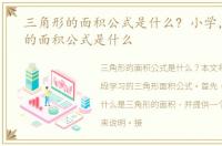 三角形的面积公式是什么? 小学，三角形的面积公式是什么