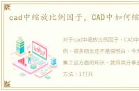 cad中缩放比例因子，CAD中如何缩放比例