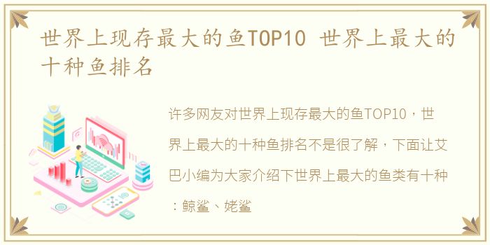 世界上现存最大的鱼TOP10 世界上最大的十种鱼排名