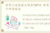 世界上现存最大的鱼TOP10 世界上最大的十种鱼排名