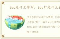 tcs是什么费用，tcs灯是什么指示