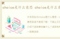 choice是什么意思 choice是什么意思英语