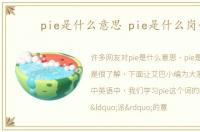 pie是什么意思 pie是什么岗位