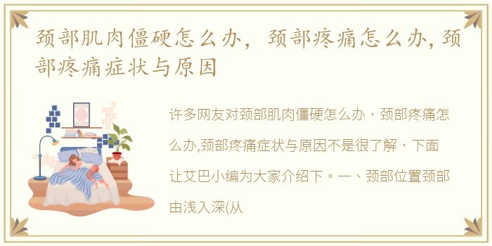 魔都留学生祖儿英文名