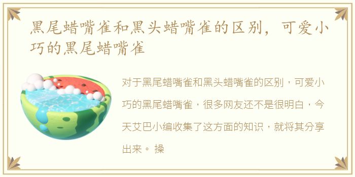 长春龙月阁有什么项目