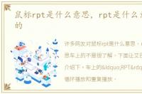 鼠标rpt是什么意思，rpt是什么意思车上的