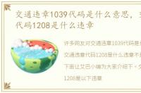 交通违章1039代码是什么意思，交通违章代码1208是什么违章