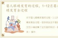 婴儿眼睛发育的过程，1-12月婴儿视觉眼睛发育全过程