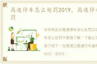 高速停车怎么处罚2019，高速停车怎么处罚