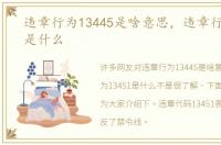 违章行为13445是啥意思，违章行为13451是什么