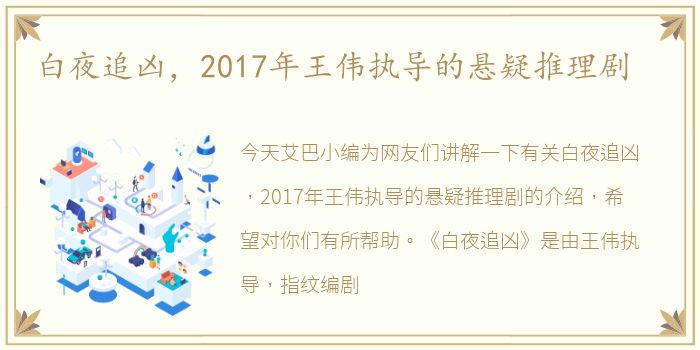 白夜追凶，2017年王伟执导的悬疑推理剧