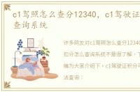 c1驾照怎么查分12340，c1驾驶证扣分怎么查询系统