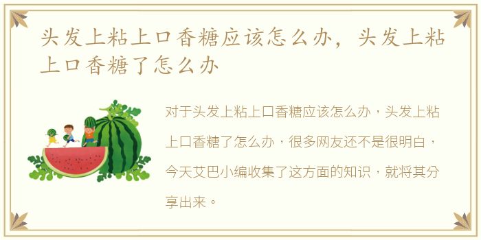 洛阳宝龙公寓里的鸡