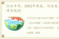 似水年华，2003年黄磊、刘若英主演的爱情电视剧