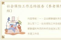 社会保险工作总结报告（养老保险工作总结）