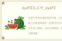 bydf3怎么样_bydf3