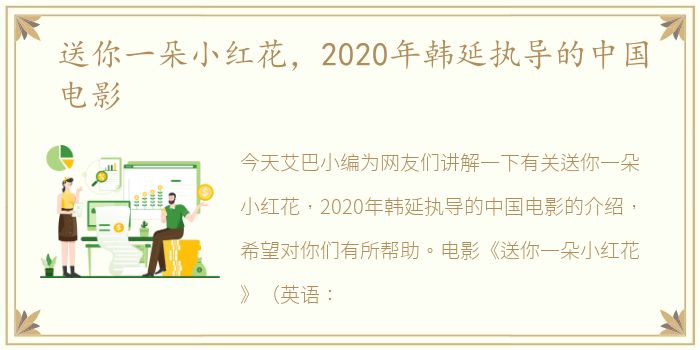 送你一朵小红花，2020年韩延执导的中国电影