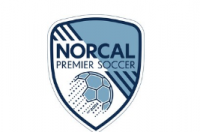 NORCAL PREMIER SOCCER推出新徽标和品牌标识