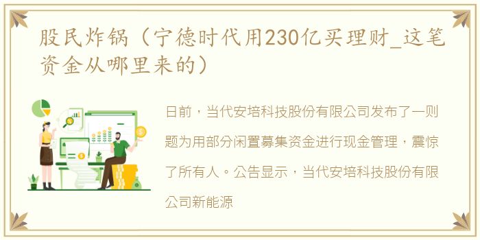 股民炸锅（宁德时代用230亿买理财_这笔资金从哪里来的）