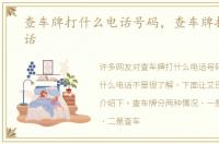 查车牌打什么电话号码，查车牌打什么电话