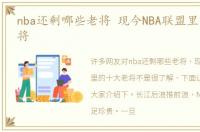 nba还剩哪些老将 现今NBA联盟里的十大老将