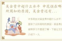 吴金贵中超什么水平 申花强在哪里除了众所周知的原因，吴金贵还有一点值得谢晖学习