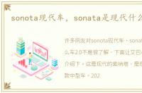 sonota现代车，sonata是现代什么车2.0