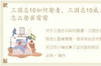 三国志10如何娶妻，三国志10威力加强版怎么娶崔莺莺