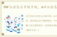 DNF公会怎么升级中级，dnf公会怎么升级