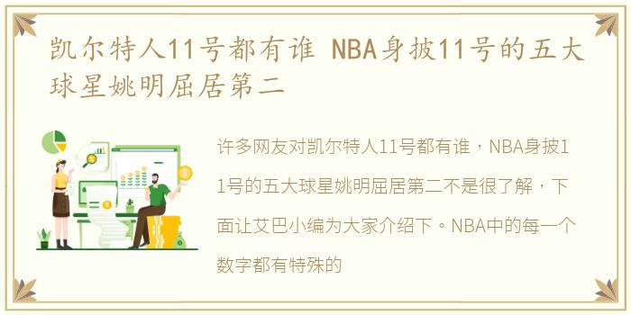 凯尔特人11号都有谁 NBA身披11号的五大球星姚明屈居第二