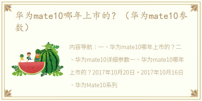 华为mate10哪年上市的？（华为mate10参数）