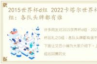 2015世界杯d组 2022卡塔尔世界杯巡礼之D组：各队头牌都有谁