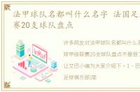 法甲球队名都叫什么名字 法国足球甲级联赛20支球队盘点