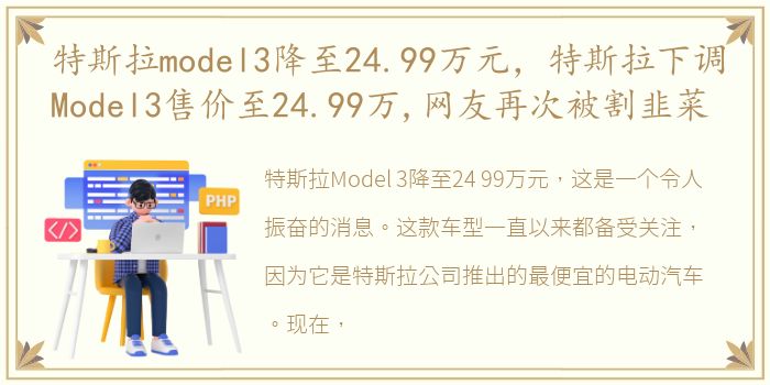 特斯拉model3降至24.99万元，特斯拉下调Model3售价至24.99万,网友再次被割韭菜