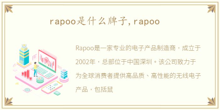 rapoo是什么牌子,rapoo