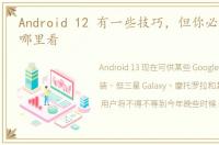 Android 12 有一些技巧，但你必须知道在哪里看