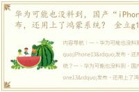 华为可能也没料到，国产“iPhone13”发布，还用上了鸿蒙系统？ 金立g13